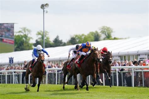 dee stakes|Iba pa.